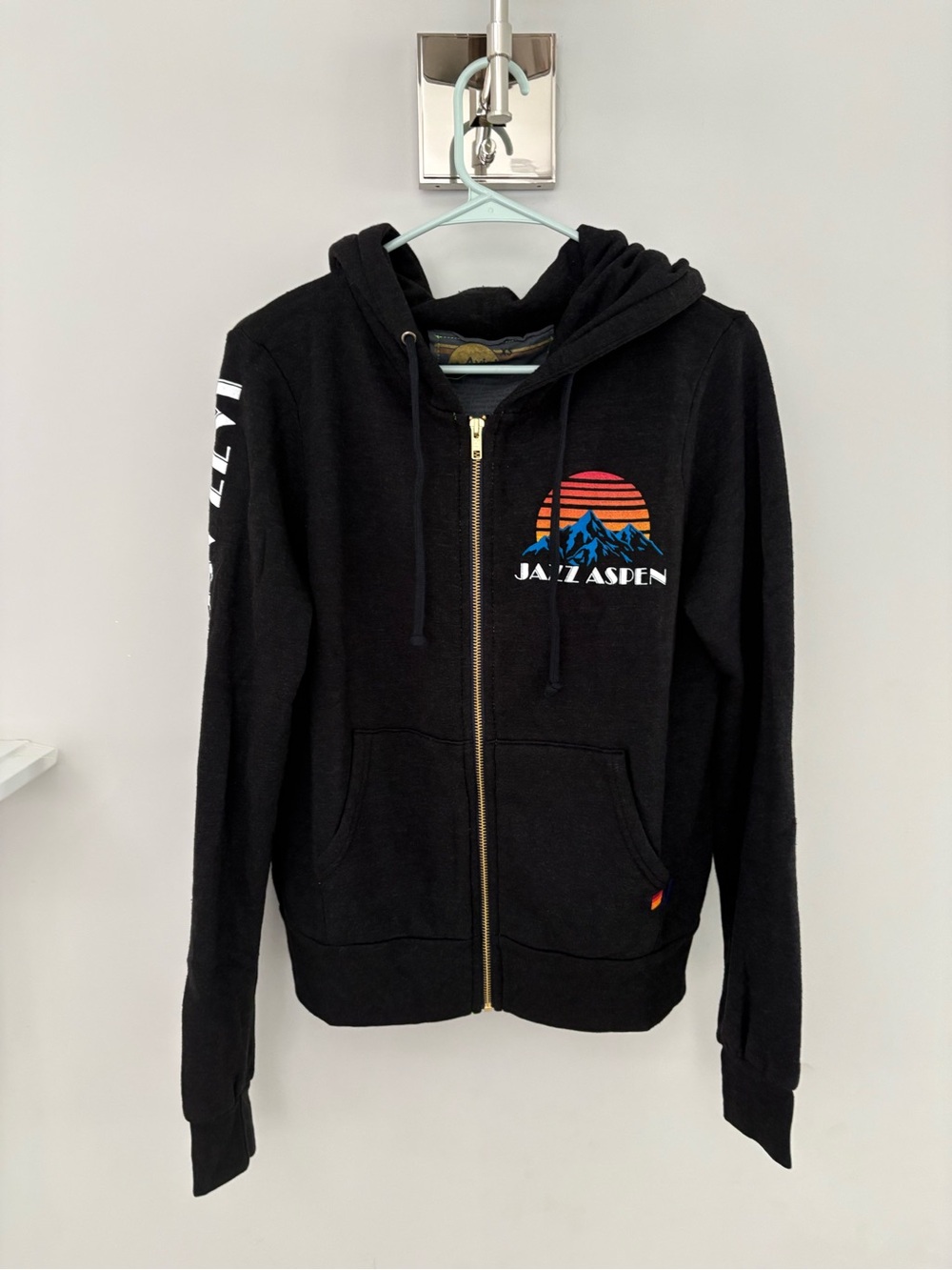 Aviator Nation Black Zip Hoodie with Sunset Mountain Graphic